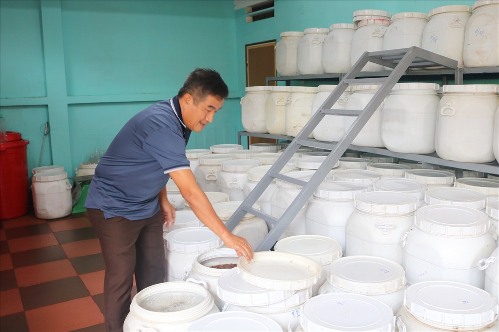 Quả bồ hòn trong quá trình sản xuất ra chất tẩy rửa hữu cơ, thân thiện môi trường. Ảnh: Trần Chánh