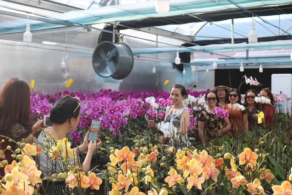 Đèo Sa Mù là điểm đến ấn tượng trong hành trình Sa Mù Hill