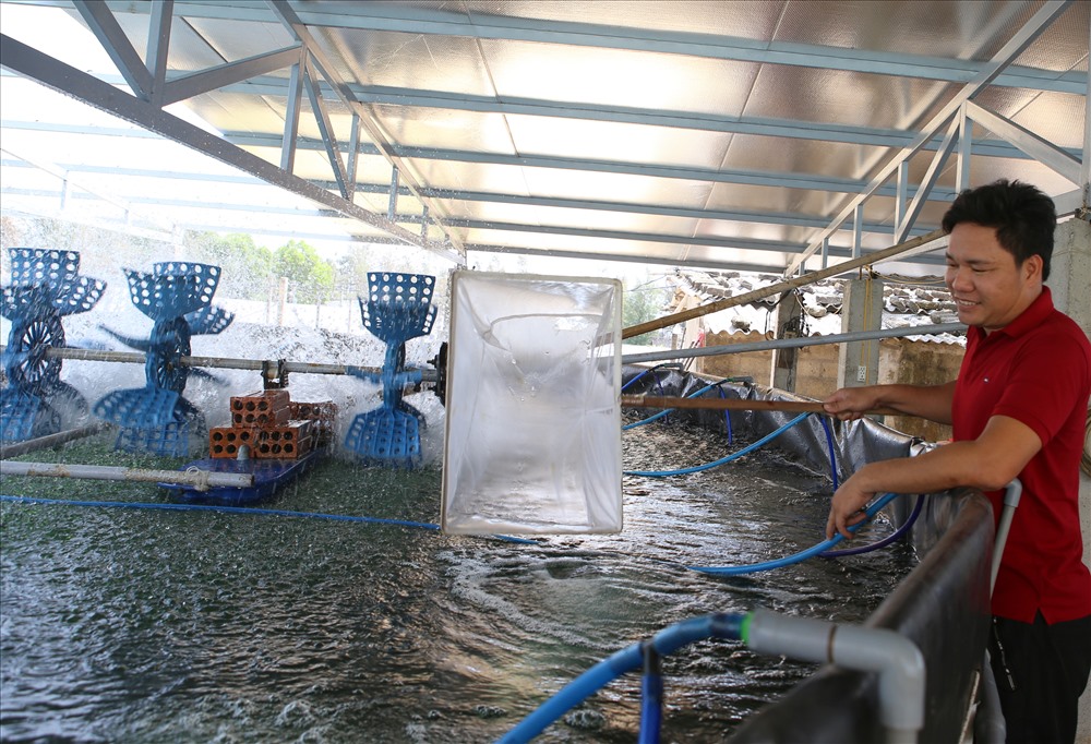 Tỉ phú nuôi tôm trên cát Hoàng Thế Vinh. Ảnh: HƯNG THƠ