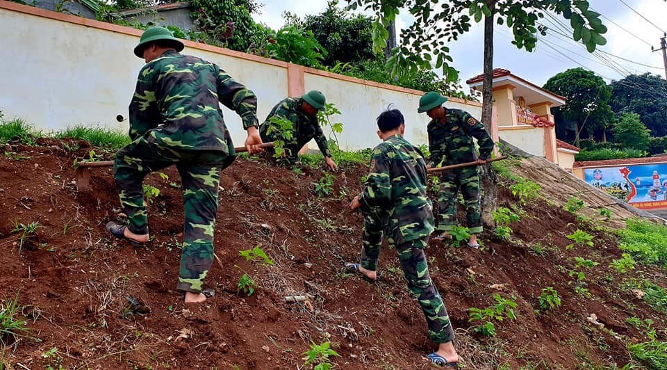 Cán bộ, Chiến sĩ Trung đoàn 52 hưởng ứng trồng 1000 cây Hoa dã quỳ