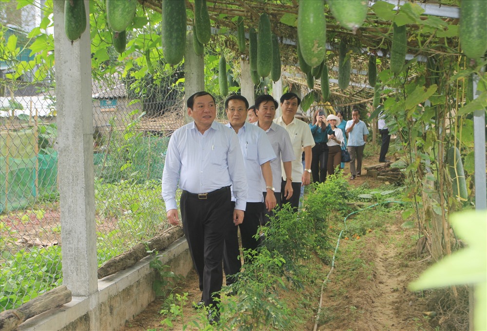 Ông Nguyễn Văn Hùng (hàng đầu) - Uỷ viên Trung ương Đảng, Bí thư Tỉnh ủy, Chủ tịch HĐND tỉnh Quảng Trị - cùng lãnh đạo tỉnh Quảng Trị kiểm tra mô hình nông nghiệp tại địa phương. Ảnh: HT.