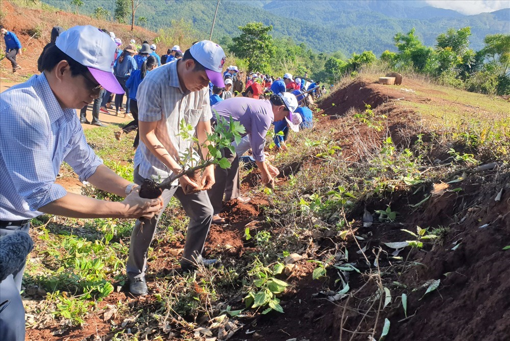 Ông Mai Huy Phương (bìa phải ảnh) - Phó Giám đốc Sở GDĐT tỉnh cùng các đại biểu trồng hoa dã quỳ. Ảnh: Hưng Thơ.