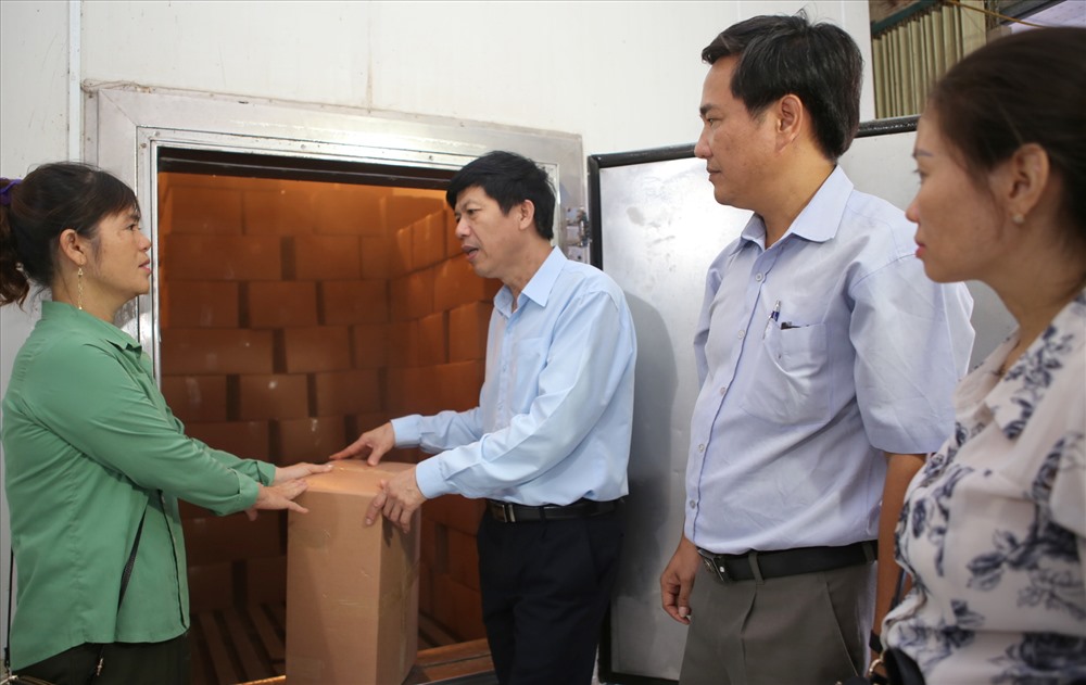 Lãnh đạo Sở Khoa học Công nghệ kiểm tra kho đông lạnh của 1 doanh nghiệp ở huyện Gio Linh đầy ắp mặt hàng cá khô xuất khẩu bị ùn ứ. Ảnh: Hưng Thơ.