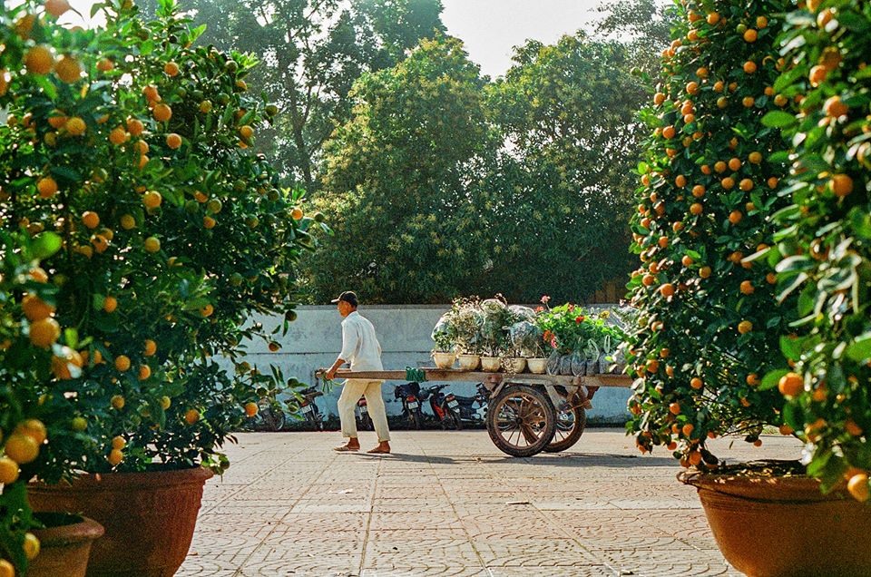 Ảnh: Nông Văn Dân