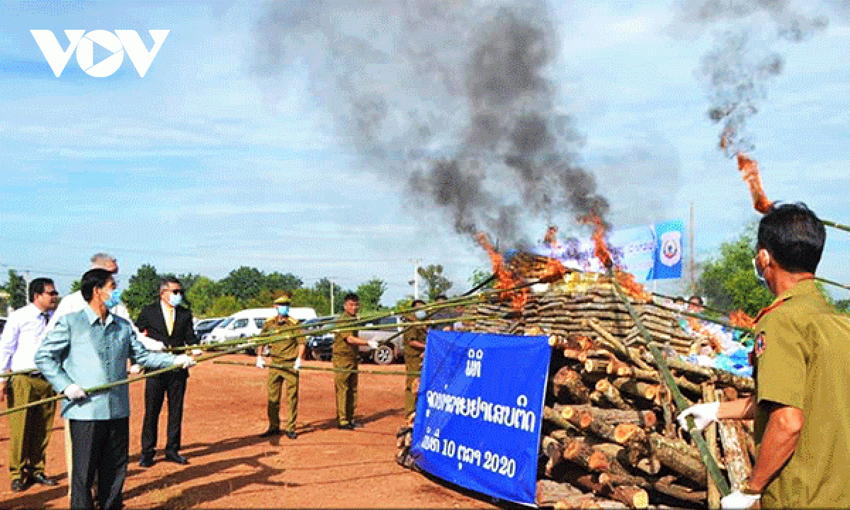 Bí thư- Đô trưởng Vientiane châm lửa thiêu hủy ma túy.