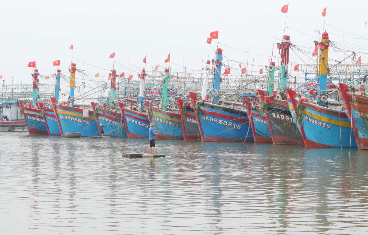 Đa số các tàu cá ở Nghệ An đã vào bờ an toàn tránh bão số 7. (Ảnh: Nguyễn Oanh/TTXVN)