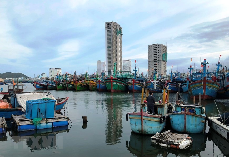 Tàu thuyền đang neo đậu trú bão số 9 tại cảng cá Quy Nhơn, Bình Định.(Ảnh: Nguyên Linh/TTXVN)