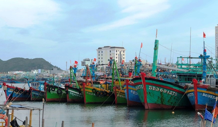 Tàu thuyền đang neo đậu trú bão số 9 tại cảng cá Quy Nhơn, Bình Định.(Ảnh: Nguyên Linh/TTXVN)