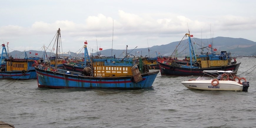 Tàu cá của ngư dân Phú Yên đã vào cảng cá Dân Phước (thị xã Sông Cầu) tránh báo. (Ảnh: Xuân Triệu/TTXVN)