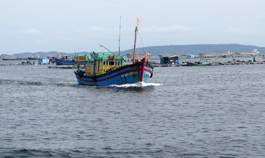 Tàu cá của ngư dân Phú Yên di chuyển vào bờ tránh bão. (Ảnh: Xuân Triệu/TTXVN)