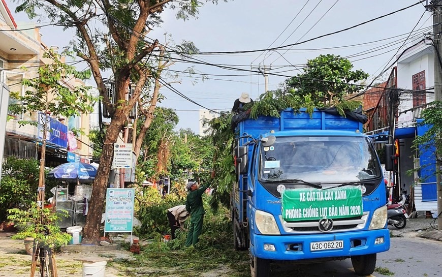 Thành phố Đà Nẵng khẩn trương cắt tỉa cây xanh để phòng chống bão. (Ảnh: Văn Dũng/TTXVN)