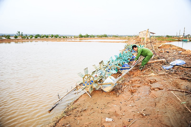 Hồ tôm của người dân xã Trung Hải, huyện Gio Linh tan hoang sau lũ - Ảnh: TT​