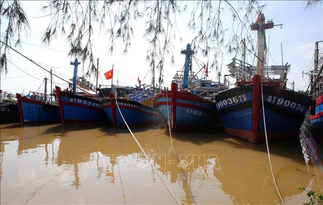 Tàu thuyền ngư dân xã Gio Việt đã vào neo đậu tránh trú an toàn tại các luồng lạch. Ảnh: Hồ Cầu/TTXVN