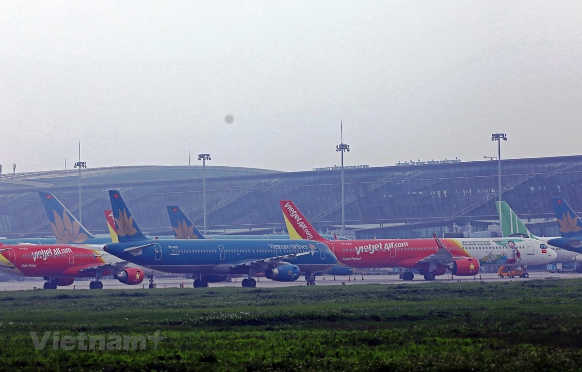 Máy bay của các hãng hàng không tại một sân bay. (Ảnh: CTV/Vietnam+)