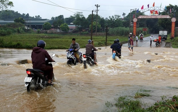 Ảnh minh họa. (Ảnh: Quốc Khánh/TTXVN)