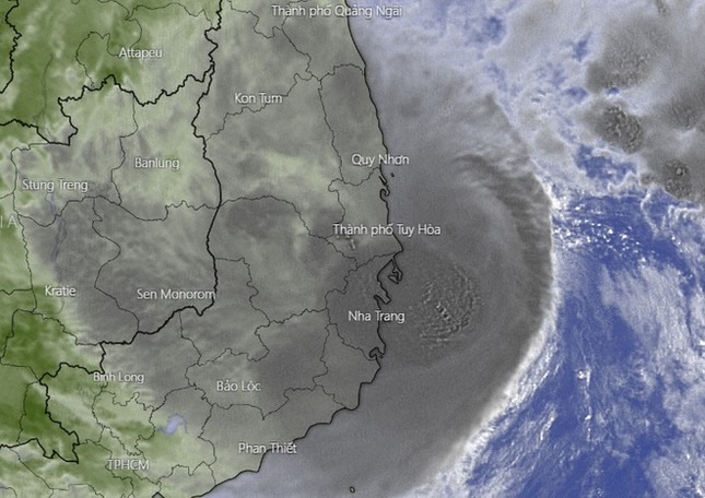 Hình ảnh vệ tinh của bão số 12 cho thấy rìa ngoài của bão đã chờm lên đất liền các tỉnh từ Bình Định đến Ninh Thuận, khu vực này đang có mưa lớn. Ảnh: Windy.
