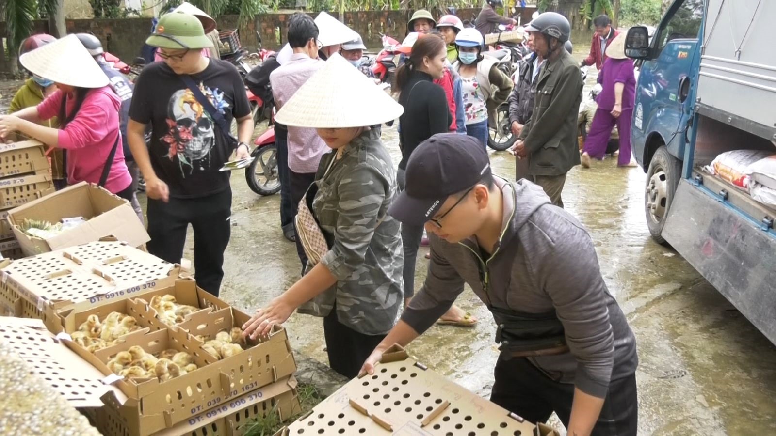 Hỗ trợ 60.000 con giống cho Nhân dân xã Hải Lâm thiệt hại sau lũ