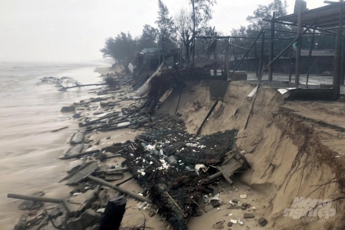 Biển xâm thực mạnh vào bãi tắm Gio Hải, huyện Gio Linh, tỉnh Quảng Trị. Ảnh: CĐ.