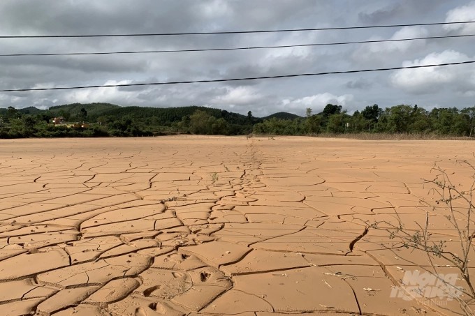 Khu đất bị vùi lấp ở xã Hưng Trạch, huyện Bố Trạch, tỉnh Quảng Bình. Ảnh: Viện Khoa học Nông nghiệp VN.