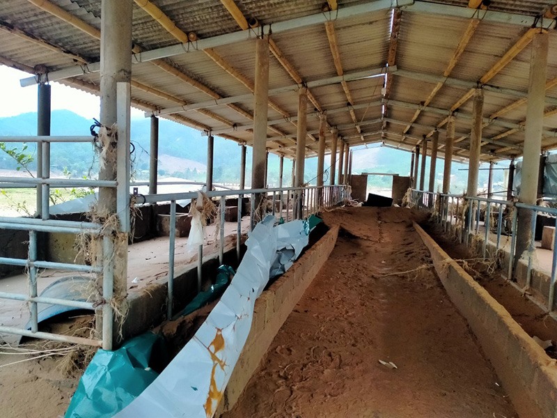 Các trang trại lớn nhỏ dọc sông Đakrông ở xã Triệu Nguyên, huyện Đakrông đều tan hoang sau mưa lũ -Ảnh: THANH LỘC