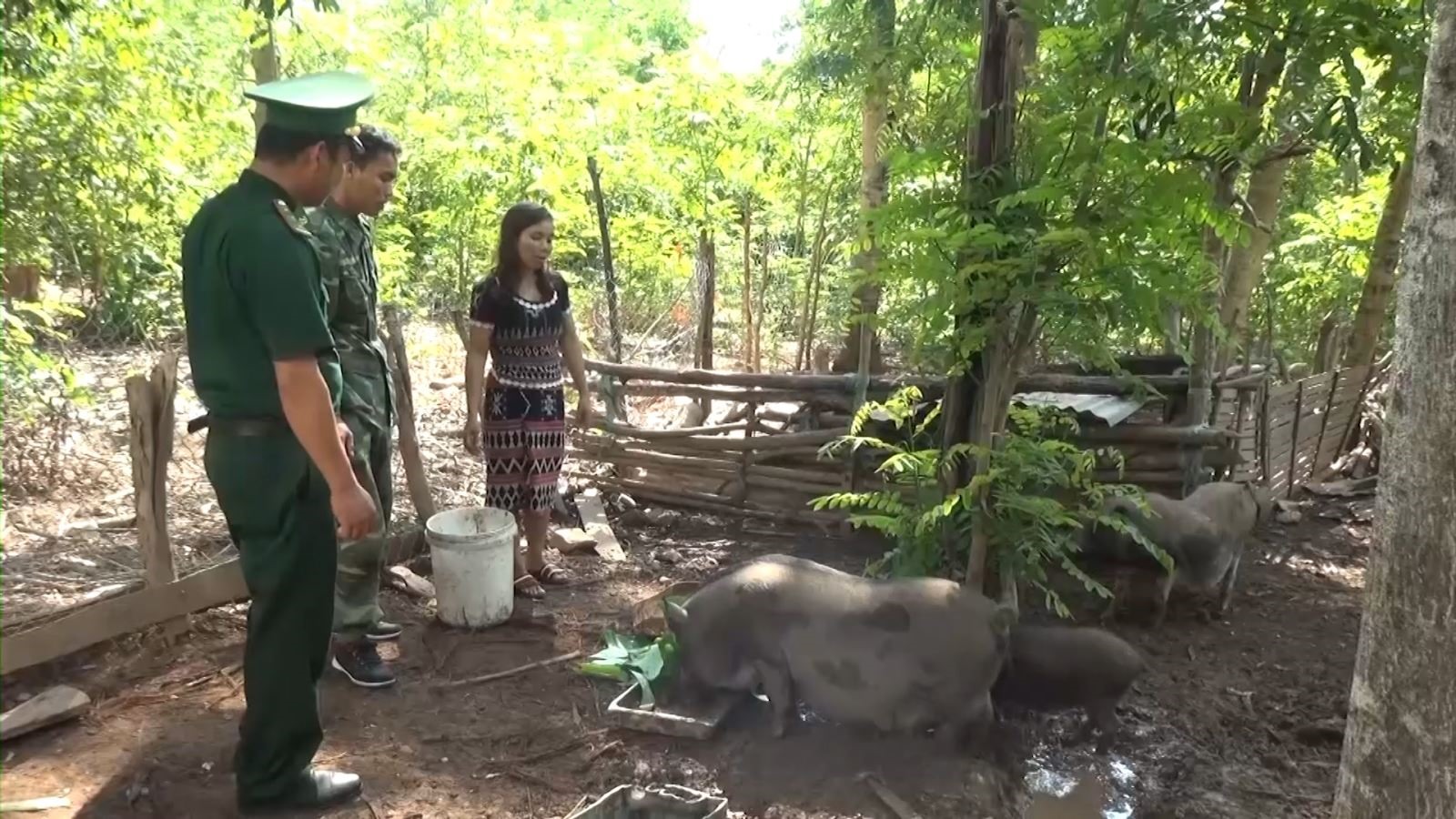 Bộ đội Biên phòng tư vấn kỹ thuật chăn nuôi lợn cho bà con xã Lìa, Hướng Hóa