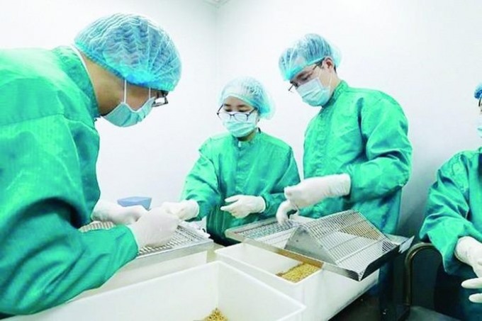 Các doanh nghiệp Việt Nam nỗ lực trong cuộc chạy đua sản xuất vắc-xin. Ảnh: D.Ngân
