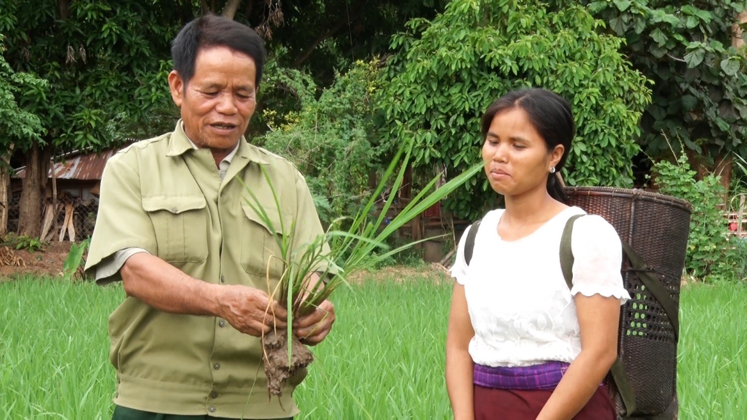 Đảng viên Ăm Moan hướng dẫn nhân dân trong thôn trồng lúa nước
