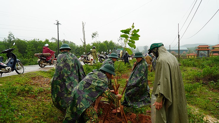 Hội viên CCB xã Cam Thành và chiến sỹ Trung đoàn 19 tích cực trồng cây dọc Tỉnh lộ 585