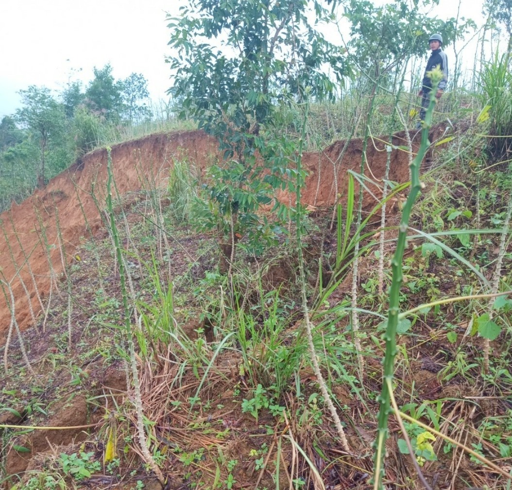 Đất đồi tại Km8, tỉnh lộ 587 đi qua địa phận thôn Tà Rùng xuất hiện nhiều đường rạn nứt - Ảnh: K.S