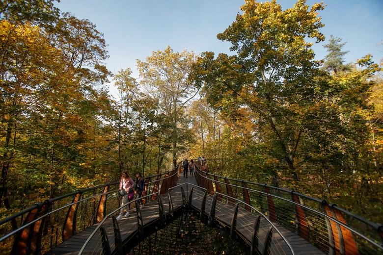 Mọi người đi bộ trên cây cầu trong rừng trong thời tiết nắng ấm mùa thu ở Moscow, Nga ngày 6/10.