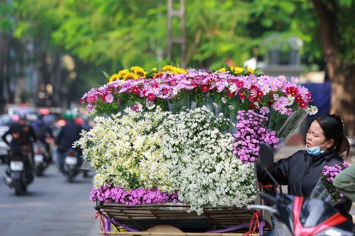 Trên phố như Phan Đình Phùng, Thanh Niên, Thụy Khuê... không khó để bắt gặp những chiếc xe đạp chở đầy hoa cúc họa mi.