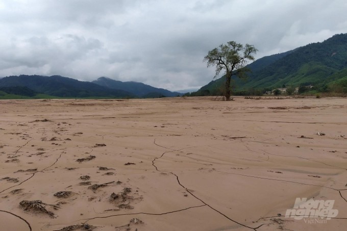 Các đợt mưa lũ vừa qua đã ảnh hưởng đến tiến độ đạt chuẩn nông thôn mới tại một số địa phương của tỉnh Quảng Trị. Trong ảnh là cánh đồng ở xã Triệu Nguyên, huyện Đakrông bị bùn đất vùi lấp. Ảnh: Công Điền.