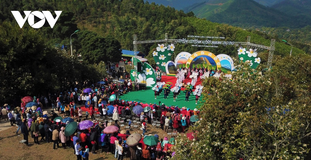 Từ năm 2015, Hội hoa Sở được tổ chức và trở thành một trong những sự kiện du lịch thường niên hấp dẫn của tỉnh Quảng Ninh.