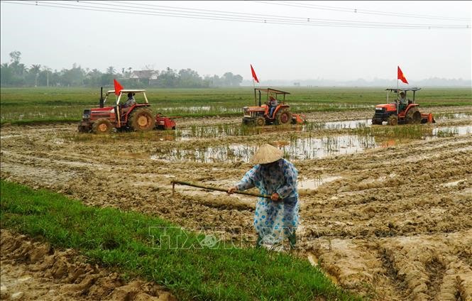 Nông dân huyện Cam Lộ đưa phương tiện máy móc xuống đồng làm đất vụ Đông Xuân. Ảnh: Hồ Cầu/TTXVN