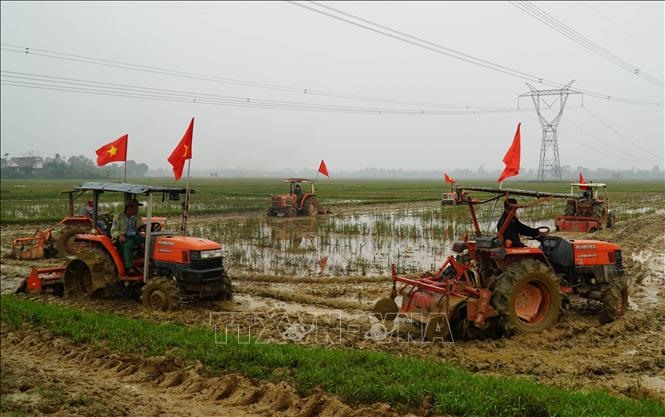 Nông dân huyện Cam Lộ đưa phương tiện máy móc xuống đồng làm đất vụ Đông Xuân. Ảnh: Hồ Cầu/TTXVN
