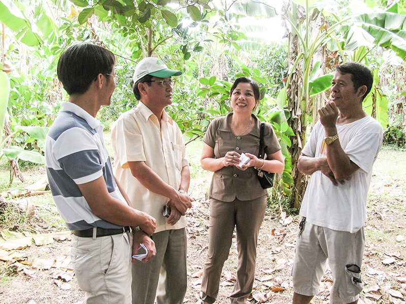 Anh Hồ Đại Nam (thứ hai, từ trái sang) tìm hiểu cách thức trồng cây mít Thái tại một trang trại ở vùng Đông Bắc Thái Lan - Ảnh: ĐT​