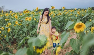 Cô giáo Dương Thu Trang tại cánh đồng hoa hướng dương (Triệu Phong, Quảng Trị)