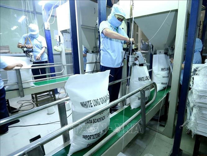 Đóng bao sản phẩm gạo xuất khẩu tại công ty Lương thực Sông Hậu (Sông Hậu Food), thành phố Cần Thơ. Ảnh: Vũ Sinh – TTXVN