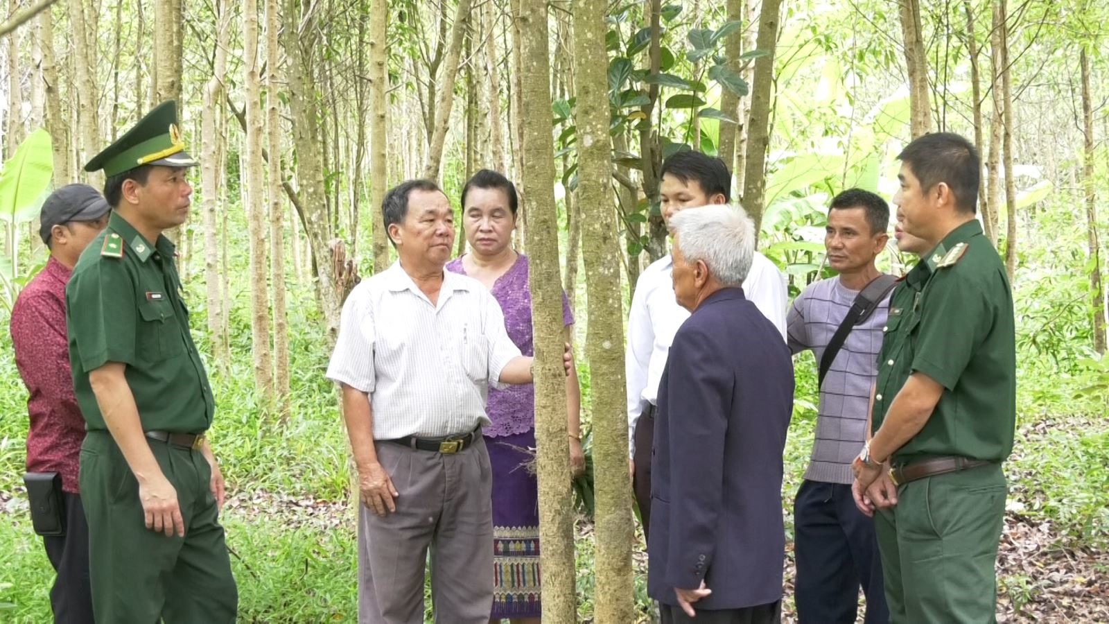 Mô hình trồng cây bời lời do bản Ka Tăng hỗ trợ bản Đensavẳn ( Lào)