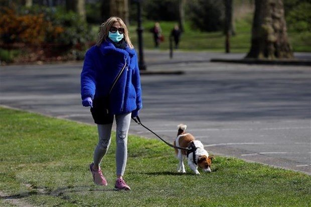 Một phụ nữ dạo bộ cùng với chú chó cưng tại công viên ở London, Anh. (Ảnh: AFP/TTXVN)