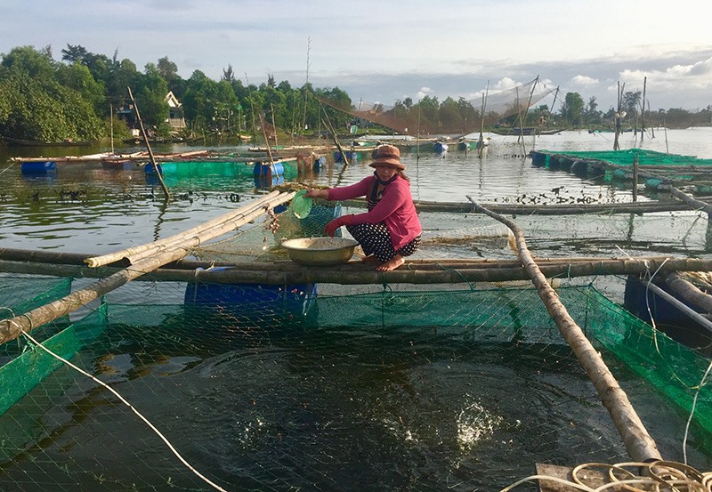 Nghề nuôi cá lồng trên sông ở xã Triệu Phước mang lại hiệu quả cao. Ảnh: PH