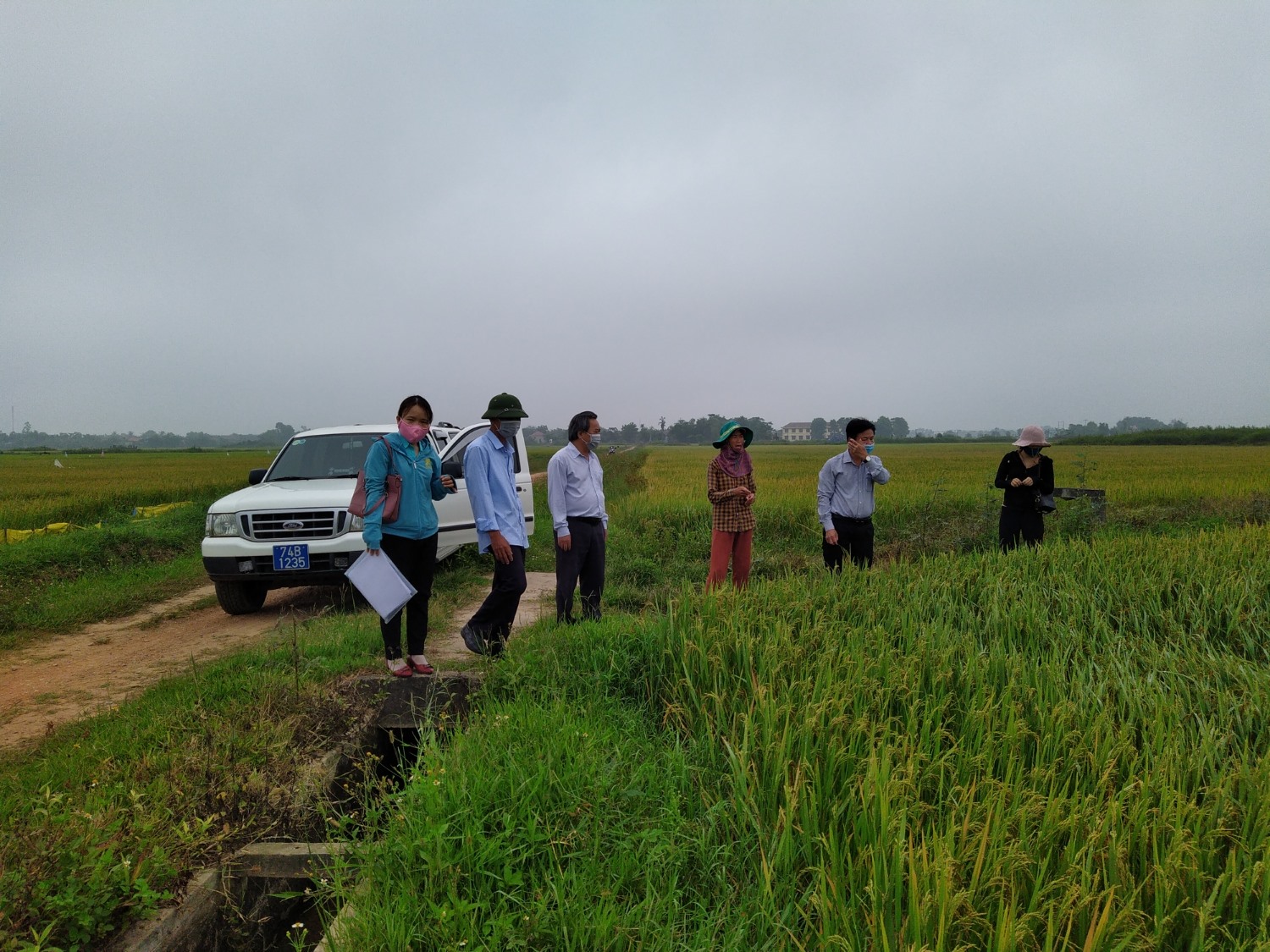 Lãnh đạo Sở NN&PTNT tỉnh kiểm tra lúa canh tác thông minh tại Triệu Độ