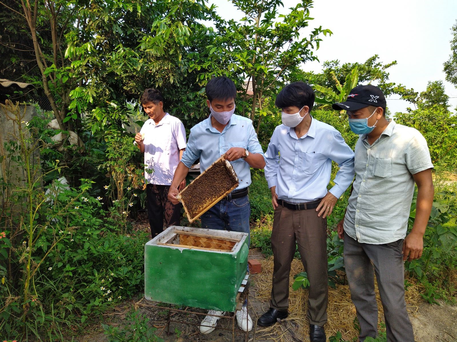 Ông Trần Hữu Cả ở xã Vĩnh Sơn nuôi ong lấy mật