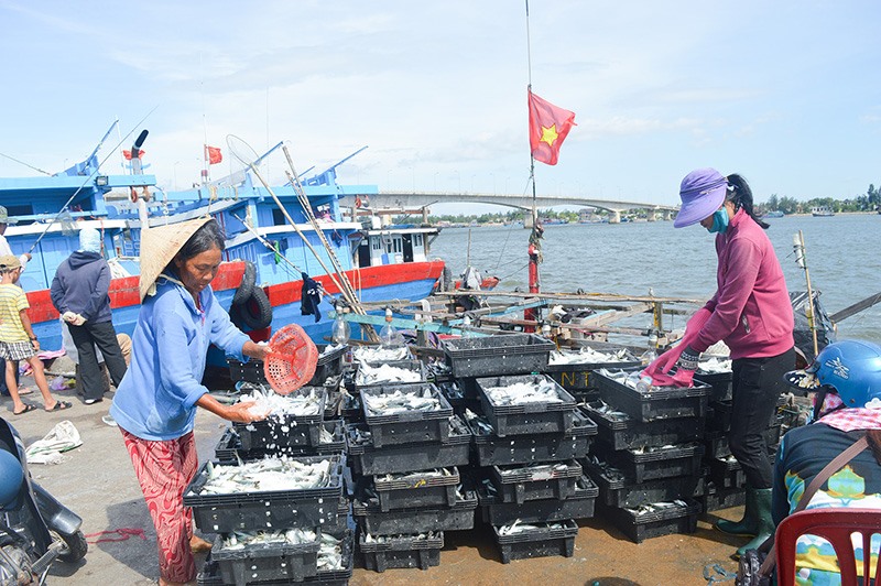 Đánh bắt, khai thác biển là thế mạnh của thị trấn Cửa Việt. Ảnh: LT