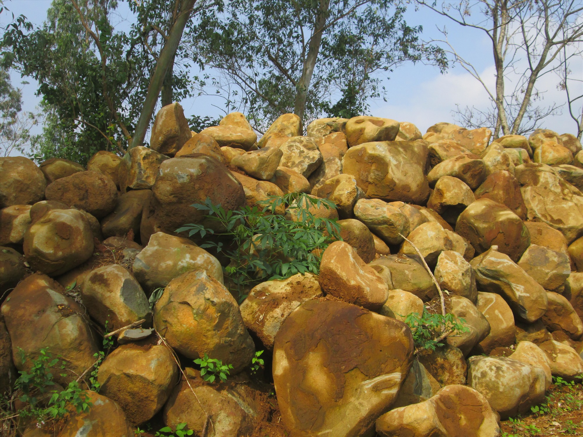Cánh đồng đá Gio Hòa (huyện Gio Linh, tỉnh Quảng Trị) là nguyên vật liệu chính của nghề chẻ đá của người dân miền tây Gio Linh.