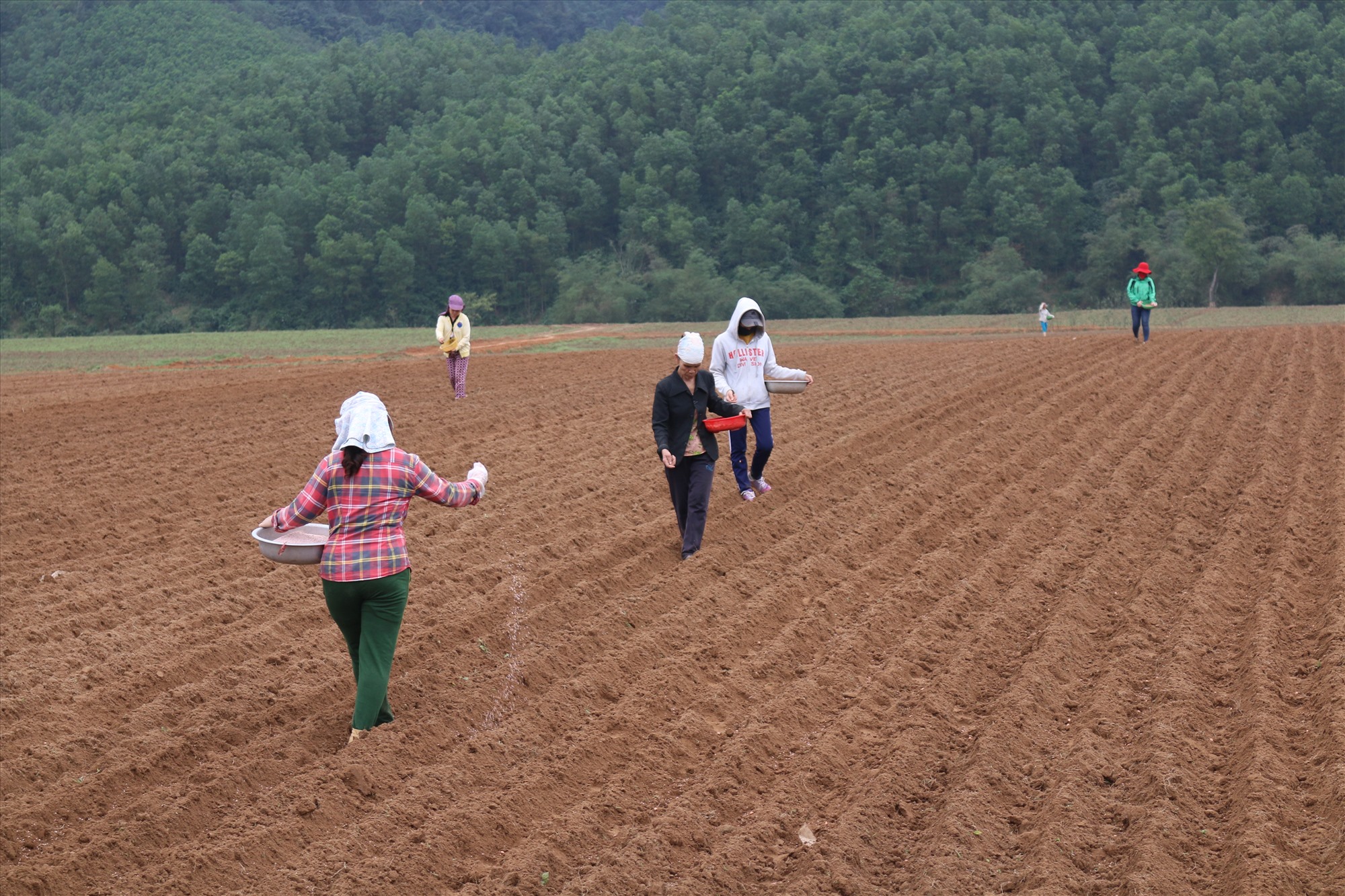 Người dân tham gia sản xuất trên những cánh đồng xã Triệu Nguyên