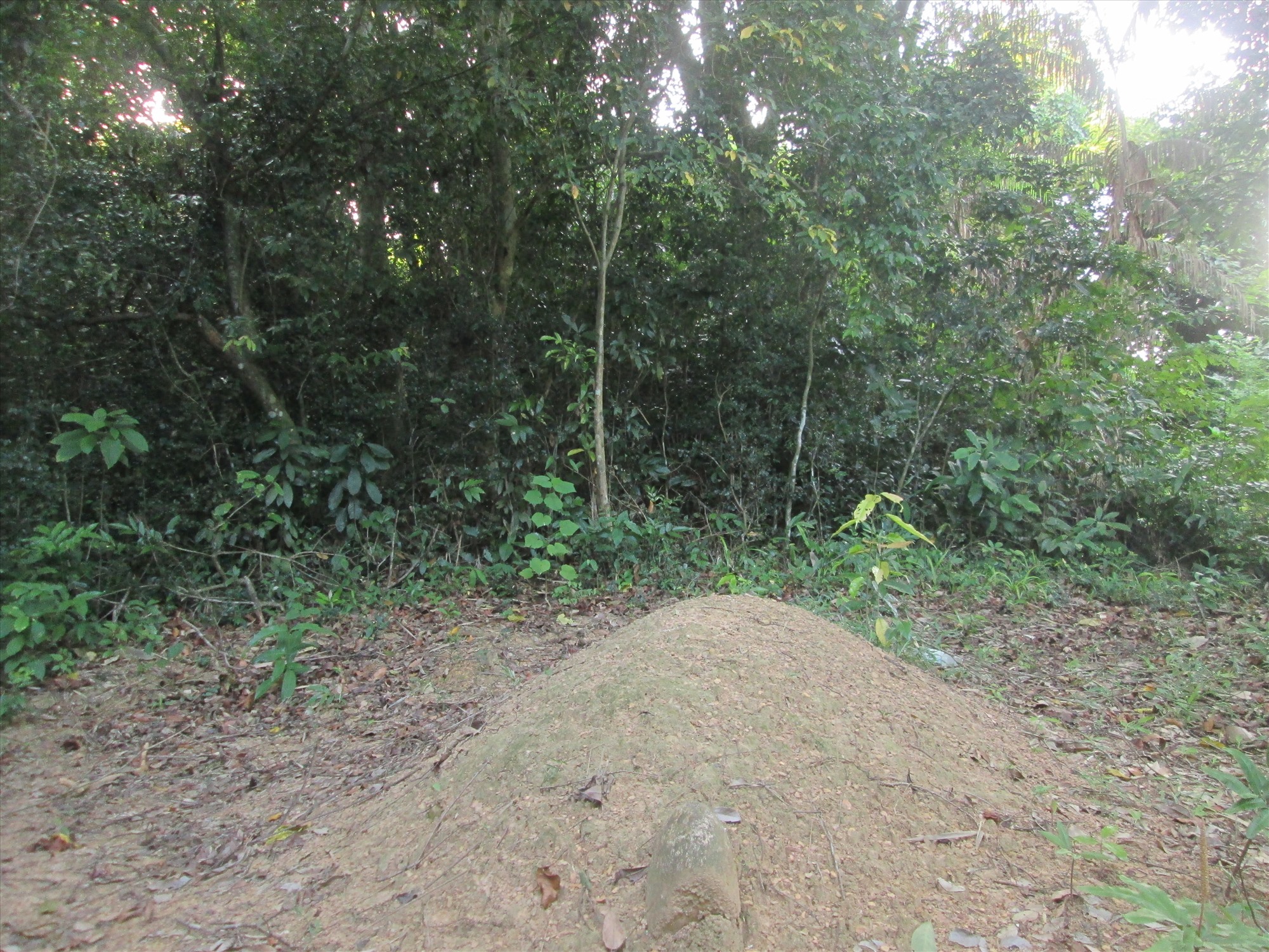 Một ngôi mộ mới được chôn cất trong rừng ma của người Vân Kiều. Ảnh: HH