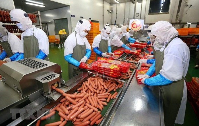 Công nhân chế biến thực phẩm tại Nhà máy chế biến sản phẩm thịt khép kín (Công ty Cổ phần Chăn nuôi C.P Việt Nam). (Ảnh: Danh Lam/TTXVN)