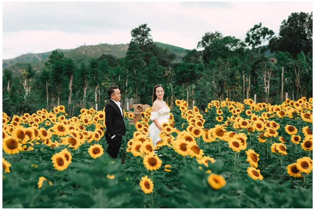 Vườn hoa được thu hút bởi các cặp đôi đến chụp ảnh cưới. Ảnh: Internet