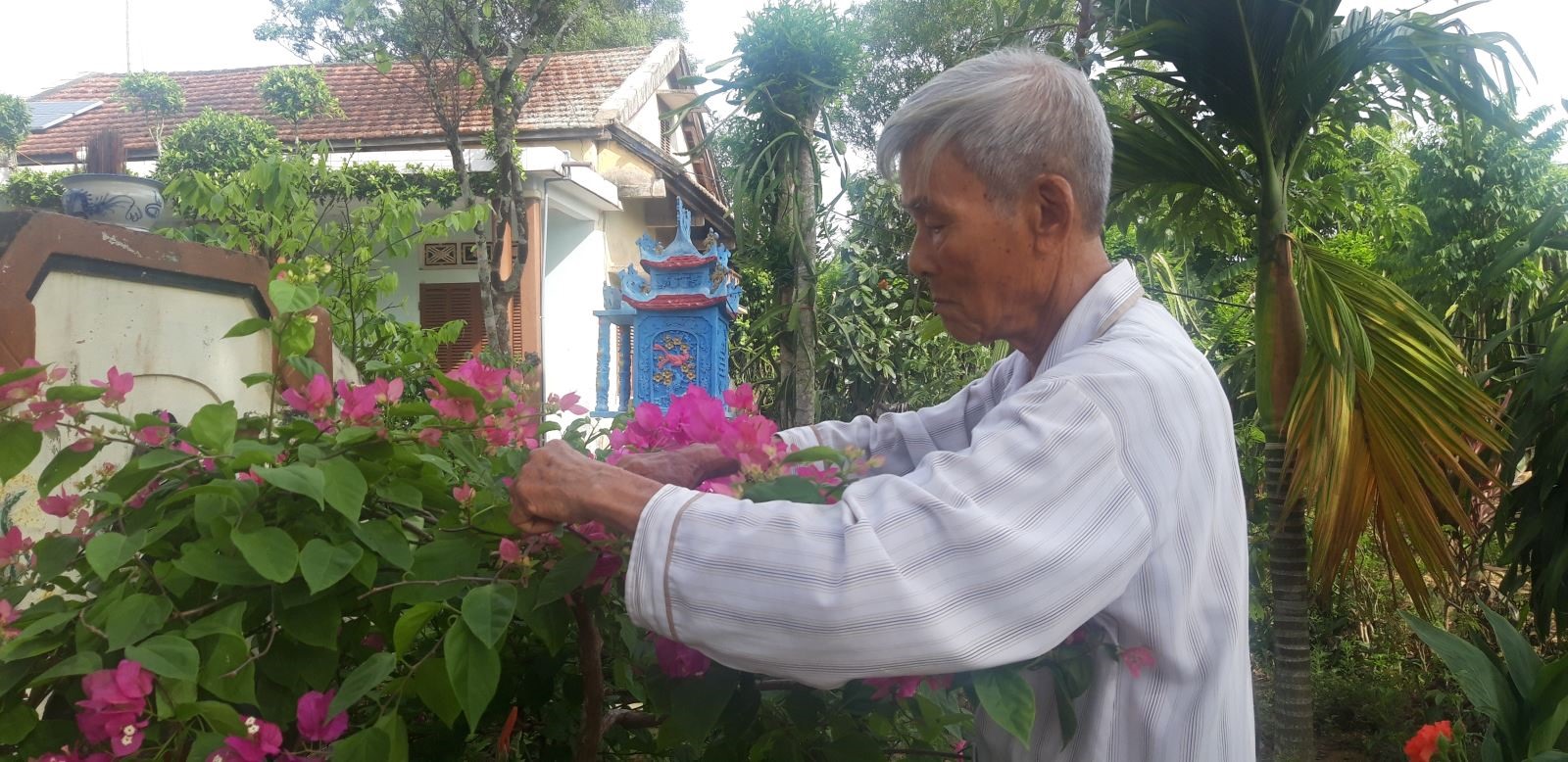 Trưởng làng văn hóa Bắc Bình Thái Ngọc Quế, tuổi ngoài 90
